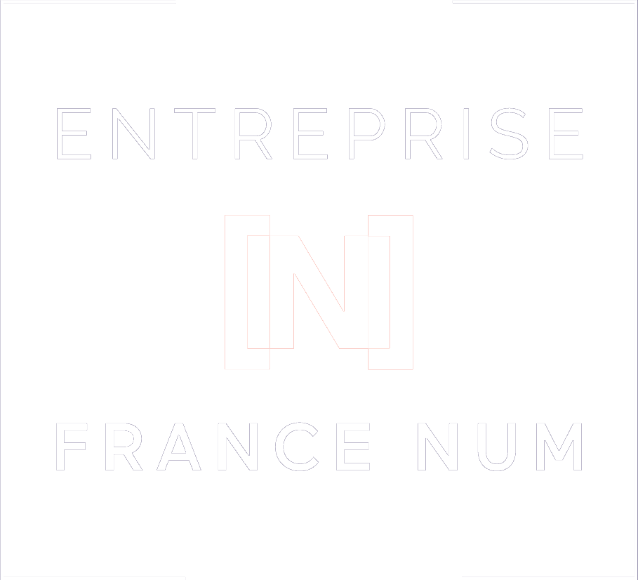 logo FrancNum Blanc