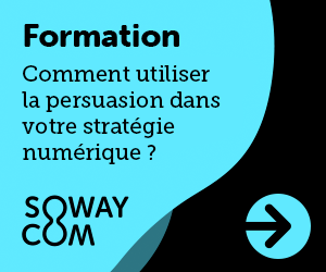 formation persuasion numerique sowaycom